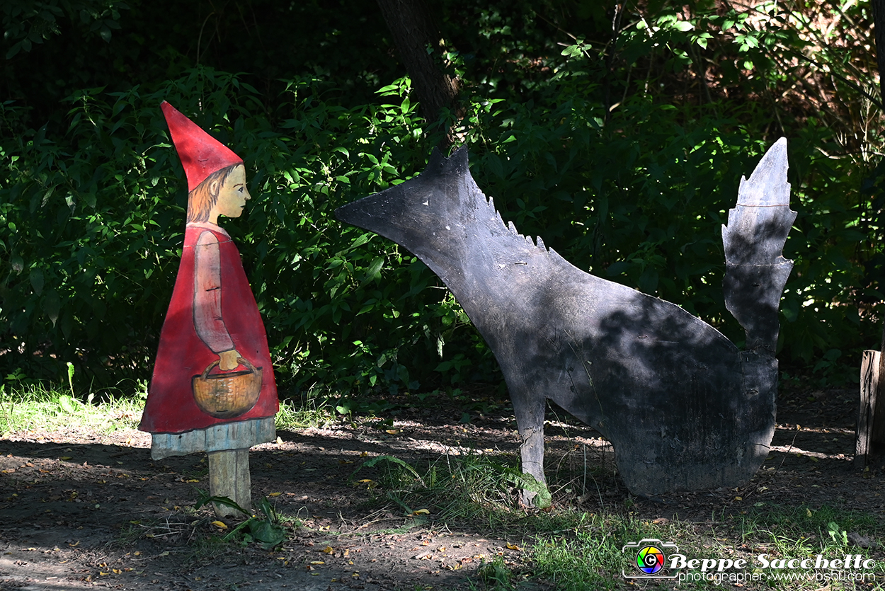 VBS_4911 - Il bosco fatato - Montaldo Roero.jpg
